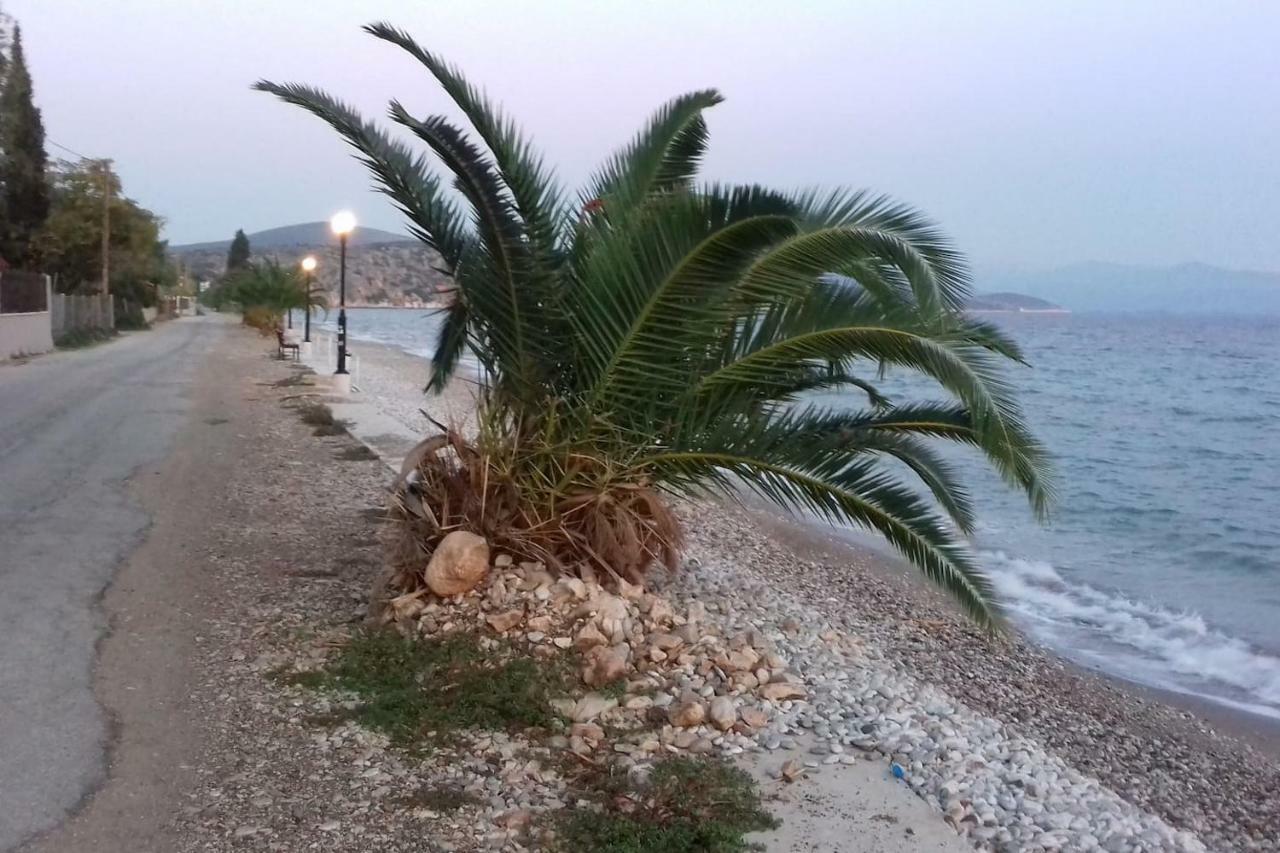 Family House Near The Beach Drepano-Nafplio Exteriör bild